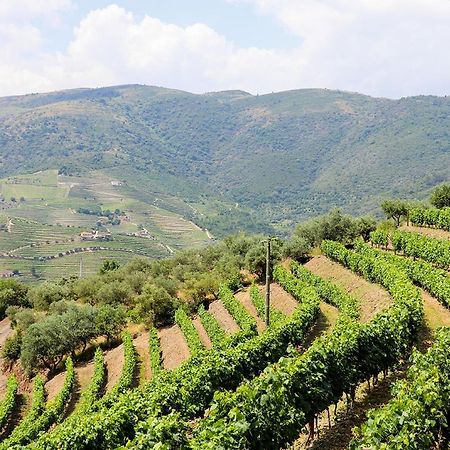 Quinta Do Monte Bravo - Douro - Quarto Duplo Βίλα Ervedosa do Douro Εξωτερικό φωτογραφία
