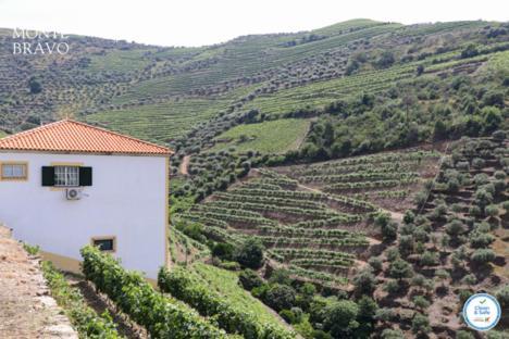Quinta Do Monte Bravo - Douro - Quarto Duplo Βίλα Ervedosa do Douro Εξωτερικό φωτογραφία