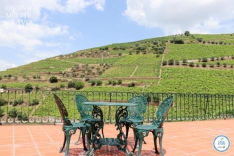 Quinta Do Monte Bravo - Douro - Quarto Duplo Βίλα Ervedosa do Douro Εξωτερικό φωτογραφία