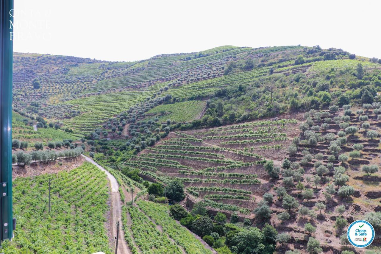 Quinta Do Monte Bravo - Douro - Quarto Duplo Βίλα Ervedosa do Douro Εξωτερικό φωτογραφία